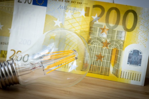 [0CG030] Il mercato dell’energia dell’Unione europea